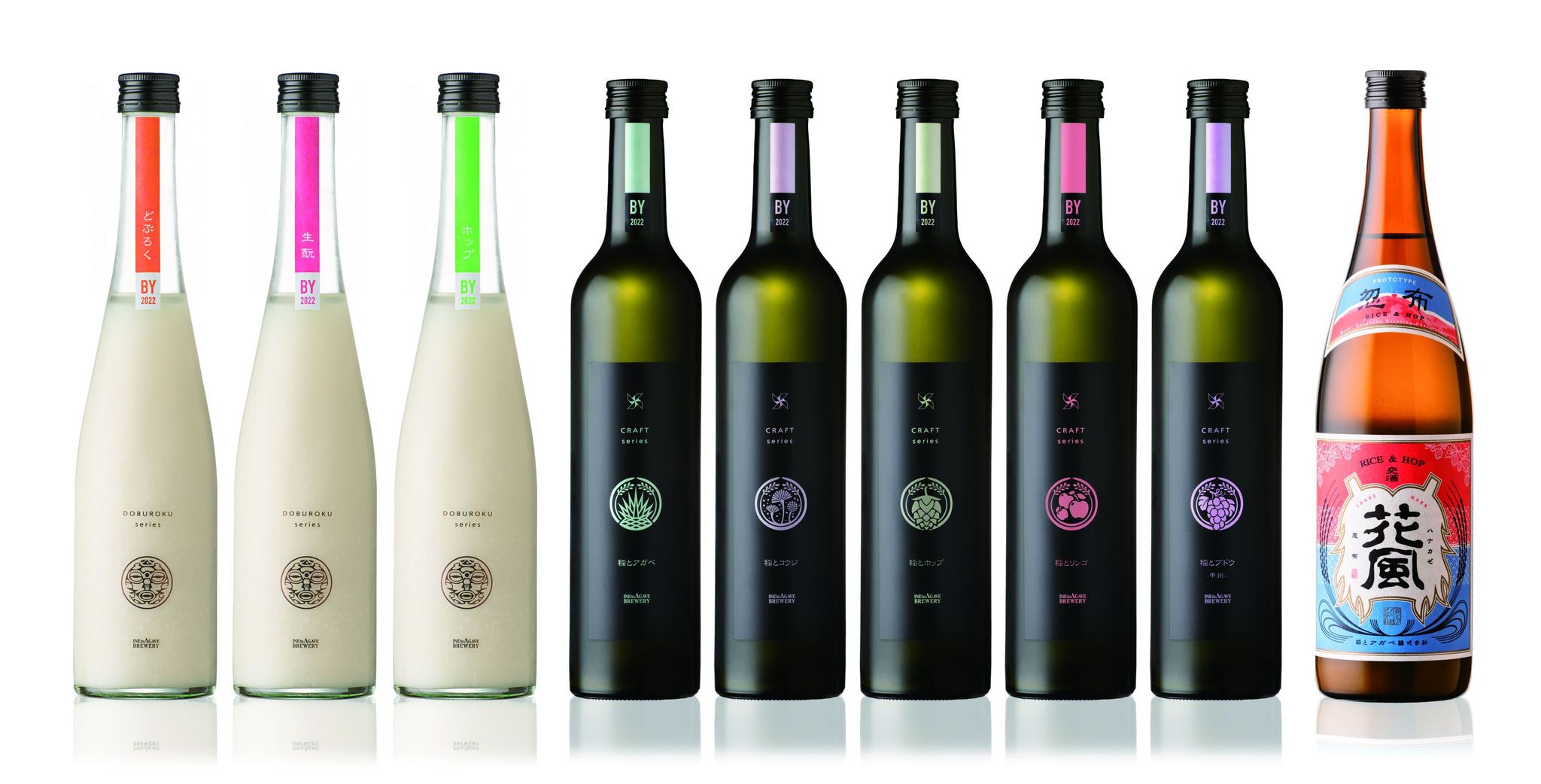 稲とアガベ 画像